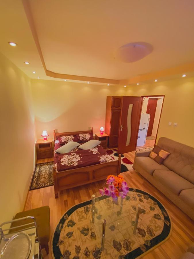 Apartament Cristian Geoagiu Băi Exteriör bild